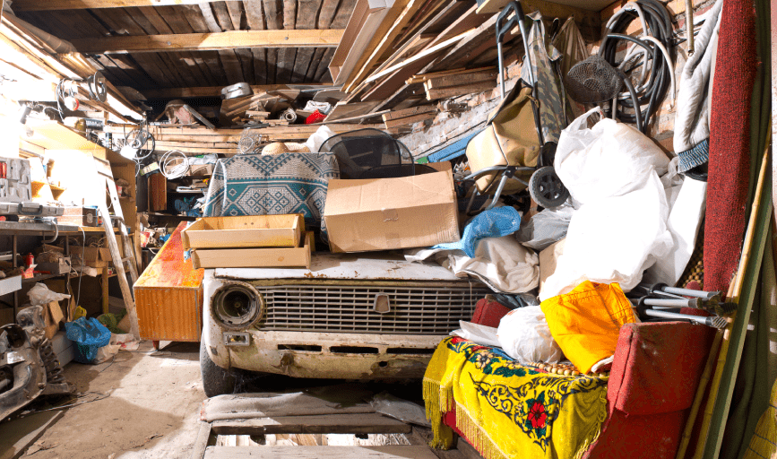 HOARDING CLEANUP